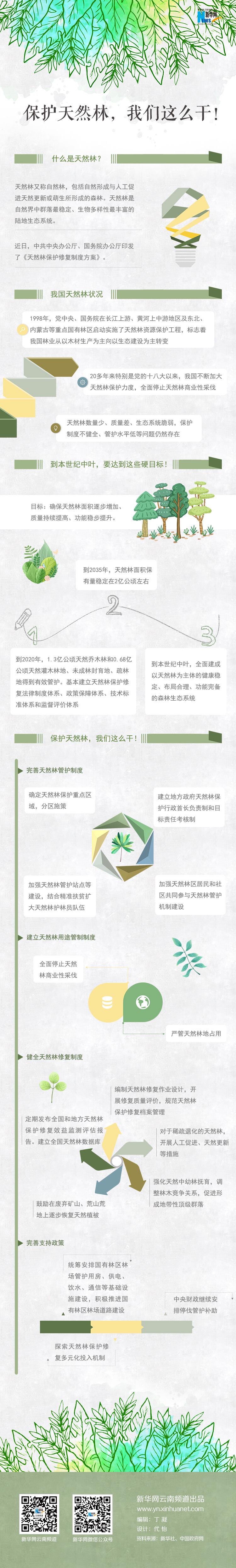 2020年國家公務員考試時政：保護天然林，我們這么干！